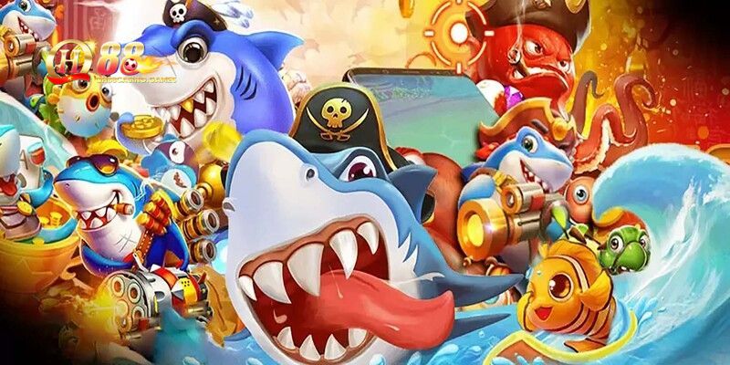 Tham gia Mèo Câu Cá với trải nghiệm mới lạ