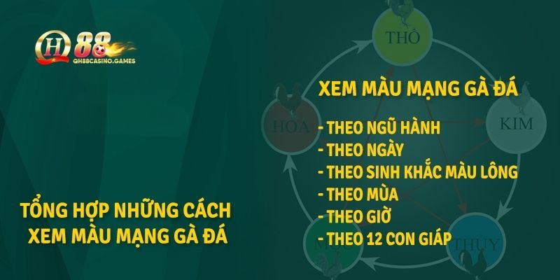 Cách xác định màu mạng gà chuẩn